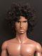 2017 Fairytale Convention Fashion Royalty Ollie Doll African American Curly Afro