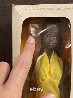 Malibu Christie Barbie Doll 1974 # 7745 In Box African American LOOK READ