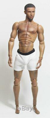 OOAK Integrity Homme Type Hybrid AA Fashion Royalty Doll-Anatomically Correct