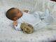 Reborn Ethnic AA Biracial Baby Alfie by Laura Lee Eagles Beautiful Baby Boy