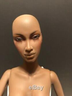 The Sybarites Sybarite African American Fashion Doll 2006/7 16 Nice