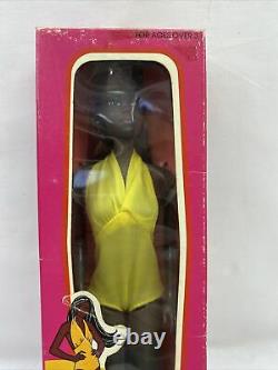 VINTAGE 1975 Malibu Christie/Barbie Doll African American NRFB (A3)