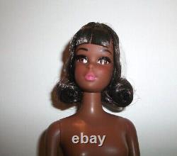 Vintage Barbie Cousin Francie Beautiful Aa Repro Doll Only By Mattel #2 Nfb